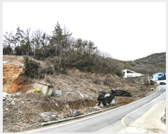  2024Ÿ��51455 ���� ������ ���赿 ��129-1       ����(�Ӿ�)���