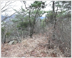  2024Ÿ��51455 ���� ������ ���赿 ��129-1       ����(�Ӿ�)���