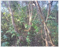  2024Ÿ��4299 ���� ����� Ȳ�浿 689-18       ����(��1)���