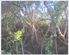  2024Ÿ��4299 ���� ����� Ȳ�浿 689-18       ����(��1)���