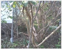  2024Ÿ��4299 ���� ����� Ȳ�浿 689-18       ����(��1)���