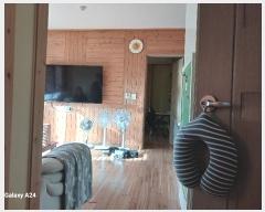  2024Ÿ4596  ٸð