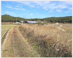  2024Ÿ5070  ﱺ 뼭 ȳ 669-9      (Ӿ)