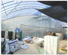  2024Ÿ5070  ﱺ 뼭 ȳ 669-9      (Ӿ)