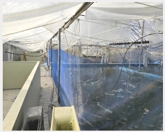  2024Ÿ5070  ﱺ 뼭 ȳ 669-9      (Ӿ)