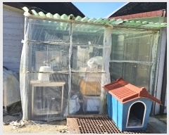  2024Ÿ5070  ﱺ 뼭 ȳ 669-9      (Ӿ)