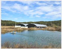  2024Ÿ5070  ﱺ 뼭 ȳ 669-9      (Ӿ)