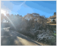  2024Ÿ5483  ﱺ   570-1      ()