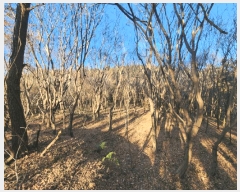  2024Ÿ5483  ﱺ   570-1      ()