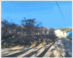  2024Ÿ5483  ﱺ   570-1      ()