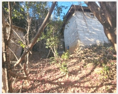  2024Ÿ5483  ﱺ   570-1      ()