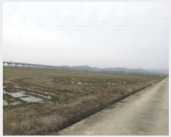  2024Ÿ51585  õ ط  470-5      ()