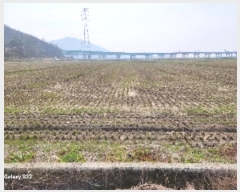  2024Ÿ51585  õ ط  470-5      ()