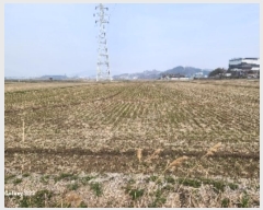  2024Ÿ51585  õ ط  470-5      ()