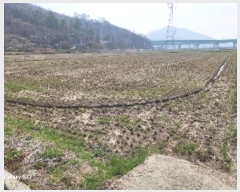  2024Ÿ51585  õ ط  470-5      ()