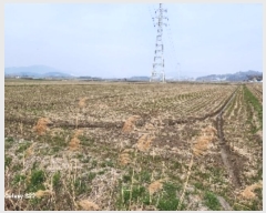  2024Ÿ51585  õ ط  470-5      ()