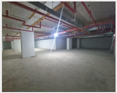 2024Ÿ54508  ٸ󰡰