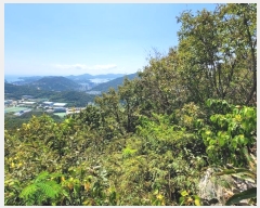  2024Ÿ��58807 ���� ������ ������ ��62-2       ����(�Ӿ�)���