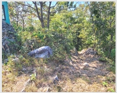  2024Ÿ��58807 ���� ������ ������ ��62-2       ����(�Ӿ�)���