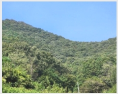  2024Ÿ��58807 ���� ������ ������ ��62-2       ����(�Ӿ�)���