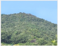  2024Ÿ��58807 ���� ������ ������ ��62-2       ����(�Ӿ�)���