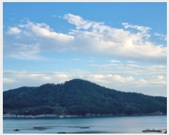  2024Ÿ��58807 ���� ������ ������ ��62-2       ����(�Ӿ�)���