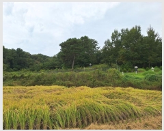  2024Ÿ59404  ﱺ   882      (1)