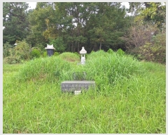  2024Ÿ59404  ﱺ   882      (1)