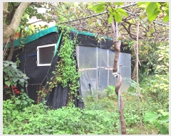  2024Ÿ59404  ﱺ   882      (1)