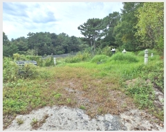  2024Ÿ59404  ﱺ   882      (1)