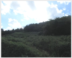  2024Ÿ��59527 ���� ������ �Ҷ�� ��õ�� ��130-3      ����(�Ӿ�)���