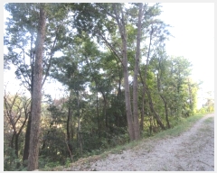  2024Ÿ��59527 ���� ������ �Ҷ�� ��õ�� ��130-3      ����(�Ӿ�)���