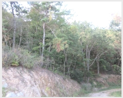  2024Ÿ��59527 ���� ������ �Ҷ�� ��õ�� ��130-3      ����(�Ӿ�)���