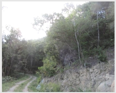  2024Ÿ��59527 ���� ������ �Ҷ�� ��õ�� ��130-3      ����(�Ӿ�)���