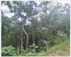  2024Ÿ��59527 ���� ������ �Ҷ�� ��õ�� ��130-3      ����(�Ӿ�)���