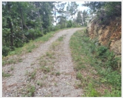  2024Ÿ��59527 ���� ������ �Ҷ�� ��õ�� ��130-3      ����(�Ӿ�)���