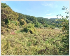  2024Ÿ��60312  ����