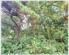  2024Ÿ��60312  ����