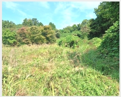  2024Ÿ��60312  ����