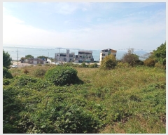  2024Ÿ��60312  ����