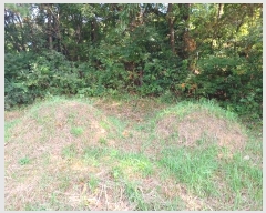  2024Ÿ��60312  ����