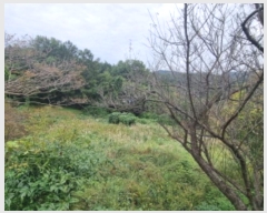  2024Ÿ��60312  ����