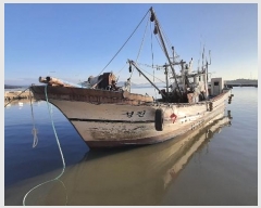  2024Ÿ61025 () õ         ڰ