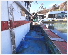  2024Ÿ61025 () õ         ڰ