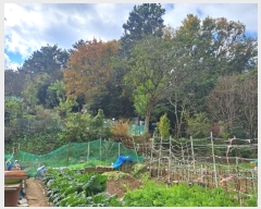  2024Ÿ��62035  �Ӿ߰��