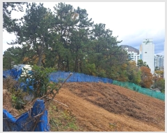  2024Ÿ��62035  �Ӿ߰��