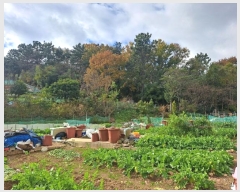  2024Ÿ��62035  �Ӿ߰��