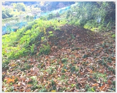  2024Ÿ��62035  �Ӿ߰��