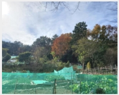  2024Ÿ��62035  �Ӿ߰��