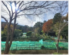  2024Ÿ��62035  �Ӿ߰��